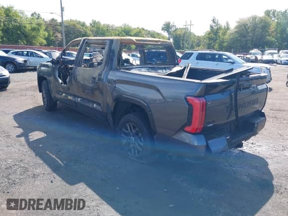 2024 Toyota Tundra Platinum with VIN 5TFNA5DB6RX231615, listed as a IAAI auction lot 43170256 with Not provided miles and . Bid and sale history available at DreamBid. Image 3.