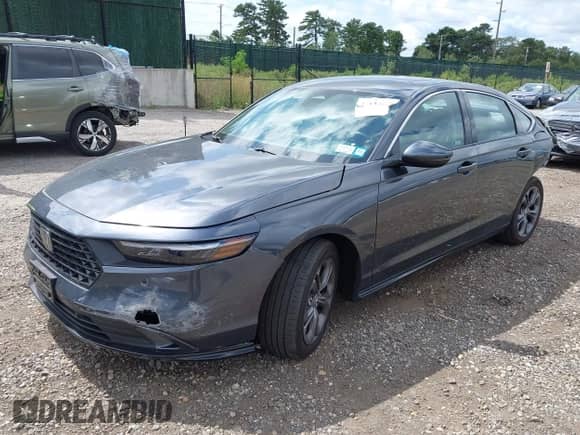 2024 Honda Accord EX-L with VIN 1HGCY2F61RA093004, listed as a IAAI auction lot 43103219 with 9,761 mi miles and . Bid and sale history available at DreamBid. Image 2.