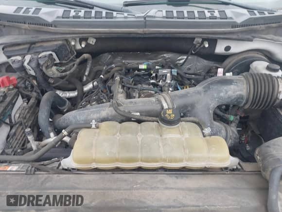 2019 Ford F-150 XL with VIN 1FTMF1CP0KKD65025, listed as a IAAI auction lot 42869853 with 208,541 mi miles and . Bid and sale history available at DreamBid. Image 10.