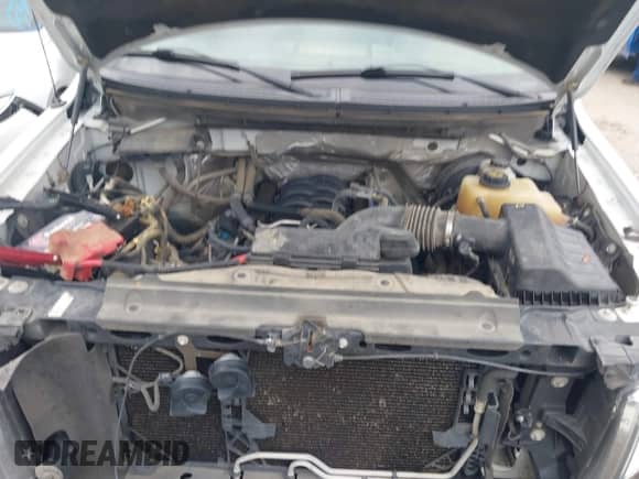 2012 Ford F-150 XL with VIN 1FTNF1CF7CKD78075, listed as a IAAI auction lot 42573750 with 120,514 mi miles and . Bid and sale history available at DreamBid. Image 10.