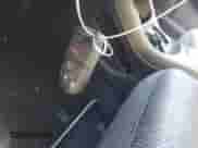 2019 Dodge Journey SE Value with VIN 3C4PDCAB0KT764277, listed as a IAAI auction lot 42973283 with 108,808 mi miles and . Bid and sale history available at DreamBid. Image 11.