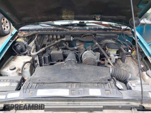 1995 Chevrolet S-10 with VIN 1GCCS1440SK253692, listed as a IAAI auction lot 42732322 with 134,102 mi miles and . Bid and sale history available at DreamBid. Image 10.