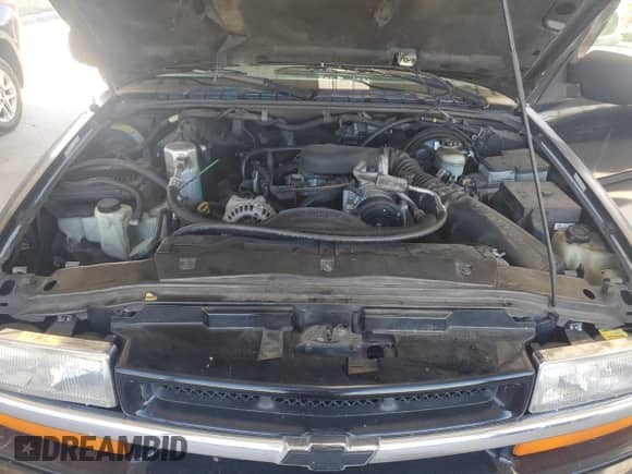 1998 Chevrolet S-10 LS with VIN 1GCCT19W2W8103853, listed as a Copart auction lot 43801065 with 181,930 mi miles and Salvage title. Bid and sale history available at DreamBid. Image 11.