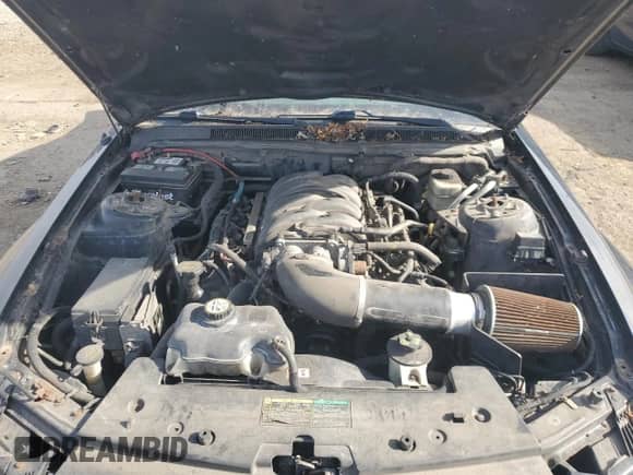 2006 Ford Mustang GT Deluxe с VIN 1ZVFT82H465109301, выставлен на аукционе Copart как лот 82591665 с пробегом 269 863 миль миль и Чистый • Clean title. История ставок и продаж доступна на DreamBid. Изображение 11.
