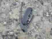 2023 BMW 4 Series M440i с VIN WBA63AW06PFN54632, выставлен на аукционе Copart как лот 70994044 с пробегом 11 718 миль миль и Списание • Salvage title. История ставок и продаж доступна на DreamBid. Изображение 12.