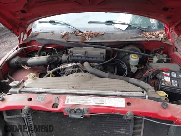 1999 Dodge 1500 with VIN 3B7HC13Y7XG114147, listed as a IAAI auction lot 42447439 with 172,595 mi miles and . Bid and sale history available at DreamBid. Image 10.