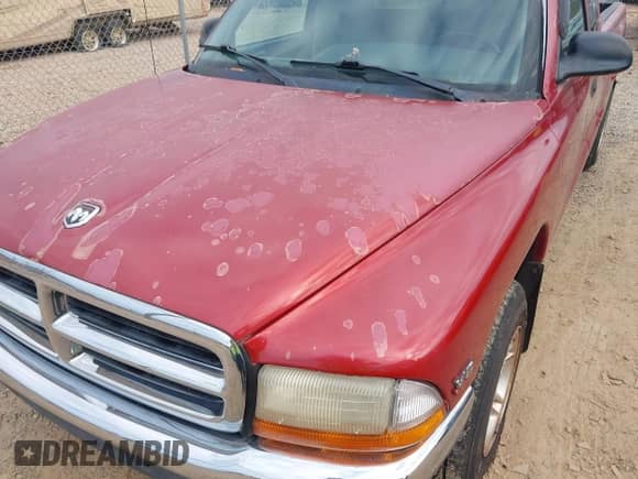 1999 Dodge Dakota SLT с VIN 1B7GL22X4XS151451, выставлен на аукционе IAAI как лот 42250905 с пробегом 132 152 миль миль и . История ставок и продаж доступна на DreamBid. Изображение 6.