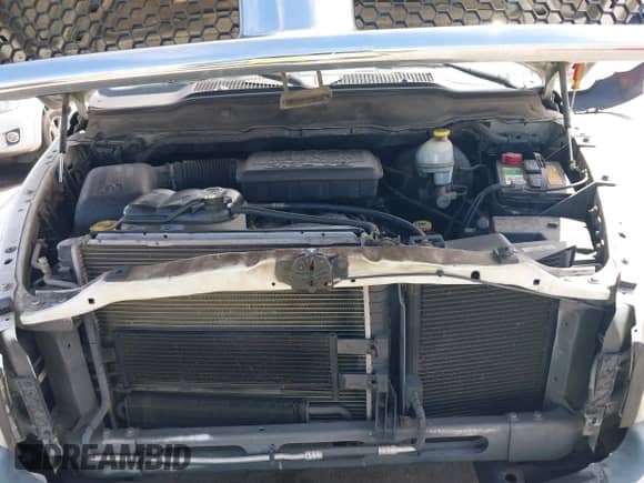 2003 Dodge 1500 ST with VIN 1D7HA16N13J636956, listed as a IAAI auction lot 43087068 with 147,533 mi miles and . Bid and sale history available at DreamBid. Image 10.