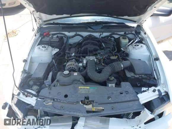 2006 Ford Mustang Standard с VIN 1ZVFT84N465107373, выставлен на аукционе IAAI как лот 42205471 с пробегом 60 598 миль миль и . История ставок и продаж доступна на DreamBid. Изображение 10.