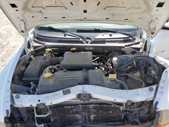 2002 Dodge Dakota SLT with VIN 1B7HG48N12S551650, listed as a Copart auction lot 49324025 with 183,653 mi miles and Salvage title. Bid and sale history available at DreamBid. Image 12.