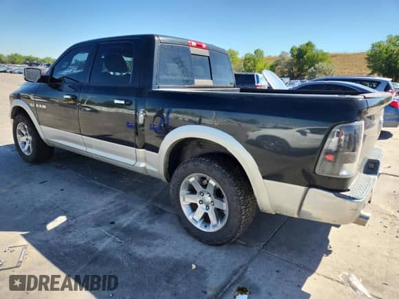 2009 Dodge 1500 Sport with VIN 1D3HV13T59S706261, listed as a Copart auction lot 81192865 with 185,299 mi miles and Clean title. Bid and sale history available at DreamBid. Image 2.