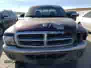 2004 Dodge Dakota SLT with VIN 1D7GL42N94S663556, listed as a Copart auction lot 81569374 with 121,371 mi miles and Salvage title. Bid and sale history available at DreamBid. Image 5.