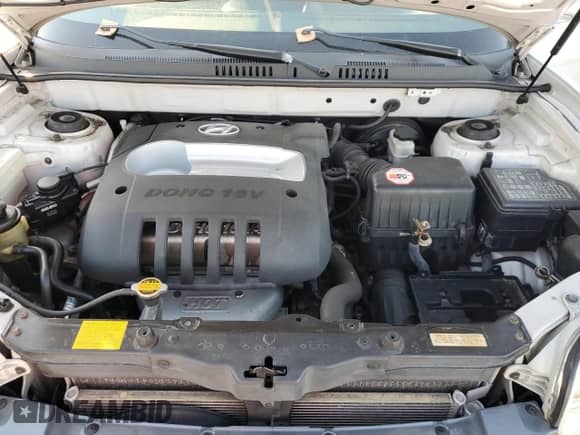 2003 Hyundai Santa Fe с VIN KM8SB12B83U366238, выставлен на аукционе Copart как лот 83824904 с пробегом Не указан миль и Списание • Salvage title. История ставок и продаж доступна на DreamBid. Изображение 12.