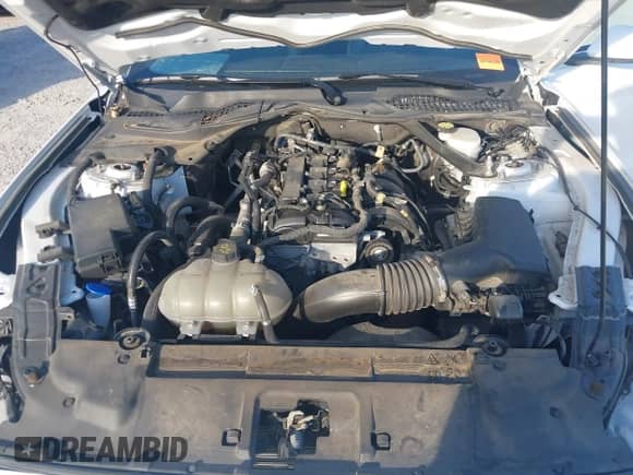 2023 Ford Mustang EcoBoost with VIN 1FATP8UH4P5105036, listed as a IAAI auction lot 43357689 with 61,296 mi miles and . Bid and sale history available at DreamBid. Image 10.