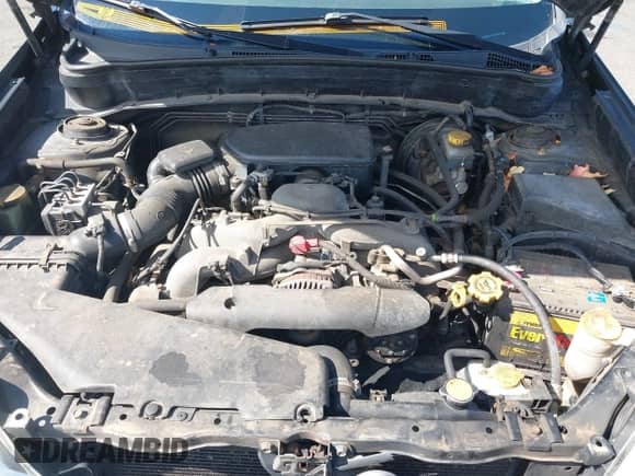 2009 Subaru Forester X with VIN JF2SH63689H734681, listed as a IAAI auction lot 43310176 with 296,187 mi miles and . Bid and sale history available at DreamBid. Image 10.