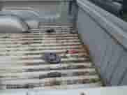 1999 Dodge 1500 с VIN 1B7HC16Y5XS313699, выставлен на аукционе Copart как лот 81491654 с пробегом 177 348 миль миль и Списание • Salvage title. История ставок и продаж доступна на DreamBid. Изображение 10.