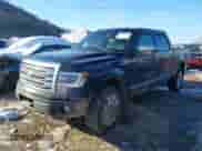 2014 Ford F-150 XL with VIN 1FTFW1EF1EFA91845, listed as a IAAI auction lot 41319958 with 124,819 mi miles and . Bid and sale history available at DreamBid. Image 17.