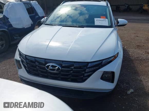 2023 Hyundai Tucson SEL with VIN 5NMJF3AEXPH243310, listed as a IAAI auction lot 43191832 with 21,754 mi miles and . Bid and sale history available at DreamBid. Image 12.