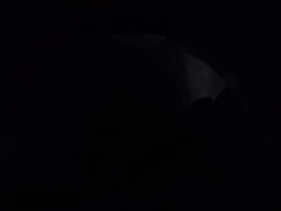 2013 Toyota Prius One z VIN JTDKN3DU9D5584318, wystawiony jako IAAI lot #42246950 z przebiegiem Nie podano mil oraz . Historia ofert i sprzedaży dostępna na DreamBid. Obrazek 19.