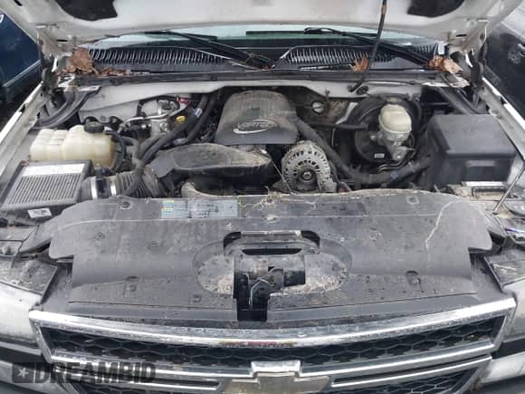 2006 Chevrolet Silverado 1500 LS с VIN 1GCEC19V46E234140, выставлен на аукционе IAAI как лот 41481122 с пробегом 290 635 миль миль и . История ставок и продаж доступна на DreamBid. Изображение 10.