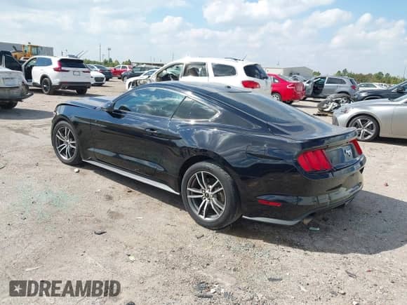 2017 Ford Mustang EcoBoost Premium с VIN 1FA6P8TH5H5213245, выставлен на аукционе IAAI как лот 43395804 с пробегом 139 828 миль миль и . История ставок и продаж доступна на DreamBid. Изображение 3.