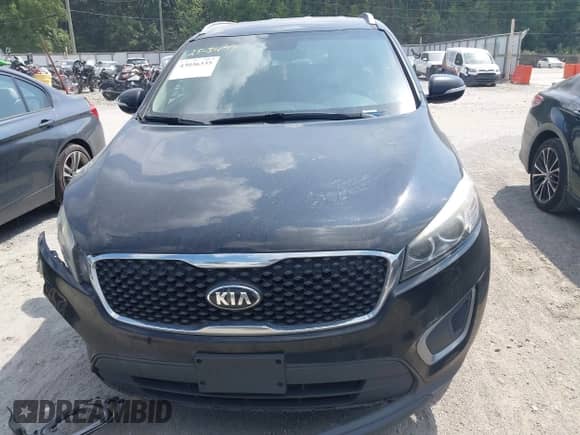 2017 Kia Sorento LX with VIN 5XYPG4A57HG188033, listed as a IAAI auction lot 43036335 with 178,186 mi miles and . Bid and sale history available at DreamBid. Image 12.