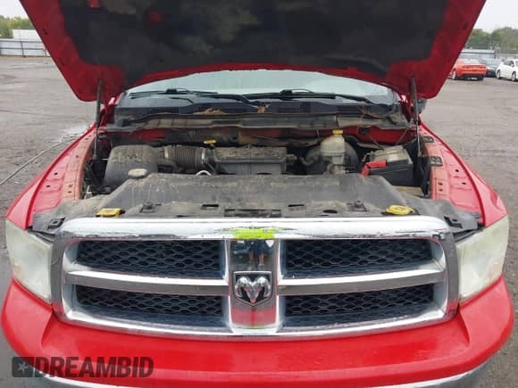 2010 Dodge 1500 SLT with VIN 1D7RB1GP7AS134414, listed as a IAAI auction lot 43072546 with 254,588 mi miles and . Bid and sale history available at DreamBid. Image 10.