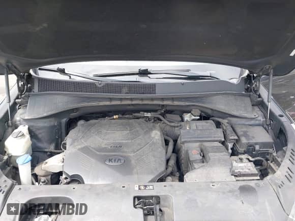 2019 Kia Sorento EX with VIN 5XYPHDA58KG545143, listed as a IAAI auction lot 42713616 with 171,123 mi miles and . Bid and sale history available at DreamBid. Image 10.