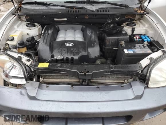 2004 Hyundai Santa Fe GLS с VIN KM8SC73D54U647379, выставлен на аукционе Copart как лот 83947084 с пробегом 190 925 миль миль и На запчасти • Non repairable. История ставок и продаж доступна на DreamBid. Изображение 12.