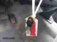 1995 Ford F-150 with VIN 1FTEX15N6SKA74610, listed as a IAAI auction lot 41805541 with Not provided miles and . Bid and sale history available at DreamBid. Image 11.