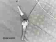 1998 Chevrolet Blazer LS z VIN 1GNDT13W9W2289009, wystawiony jako IAAI lot #42533871 z przebiegiem 165 585 mil mil oraz . Historia ofert i sprzedaży dostępna na DreamBid. Obrazek 11.