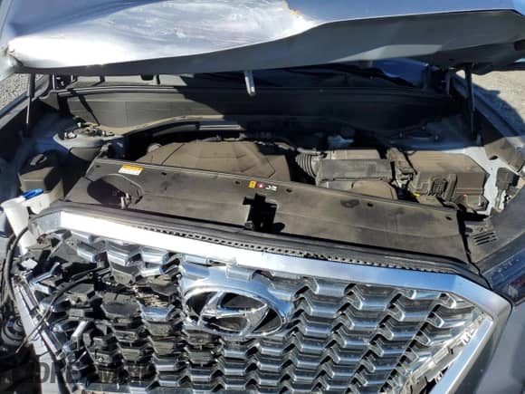 2021 Hyundai Palisade Limited с VIN KM8R5DHE7MU179342, выставлен на аукционе Copart как лот 86334855 с пробегом 59 096 миль миль и Списание • Salvage title. История ставок и продаж доступна на DreamBid. Изображение 12.