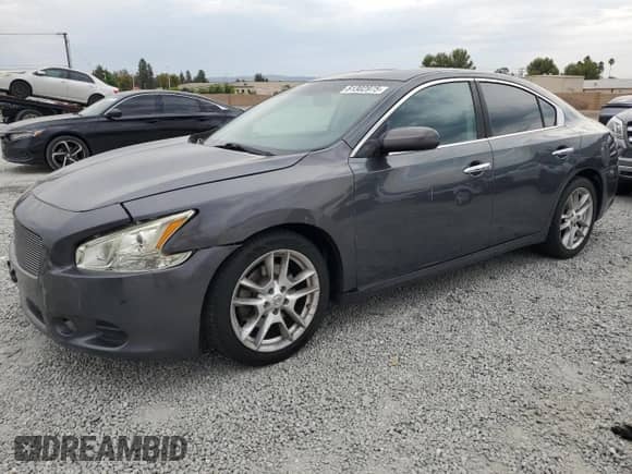 2013 Nissan Maxima SV with VIN 1N4AA5AP2DC821816, listed as a Copart auction lot 81302975 with 187,414 mi miles and Clean title. Bid and sale history available at DreamBid. Image 1.