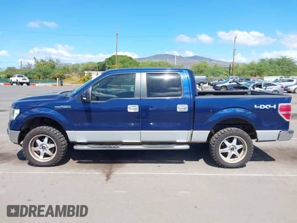 2009 Ford F-150 XL with VIN 1FTPW14V09FB09738, listed as a IAAI auction lot 43520582 with 240,868 mi miles and . Bid and sale history available at DreamBid. Image 14.