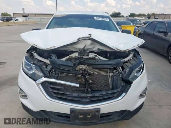 2018 Chevrolet Equinox LS с VIN 2GNAXHEV4J6111511, выставлен на аукционе Copart как лот 81033825 с пробегом 105 651 миль миль и Списание • Salvage title. История ставок и продаж доступна на DreamBid. Изображение 5.