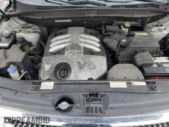 2007 Hyundai Veracruz GLS с VIN KM8NU13C07U025873, выставлен на аукционе Copart как лот 41783565 с пробегом 220 567 миль миль и Списание • Salvage title. История ставок и продаж доступна на DreamBid. Изображение 12.