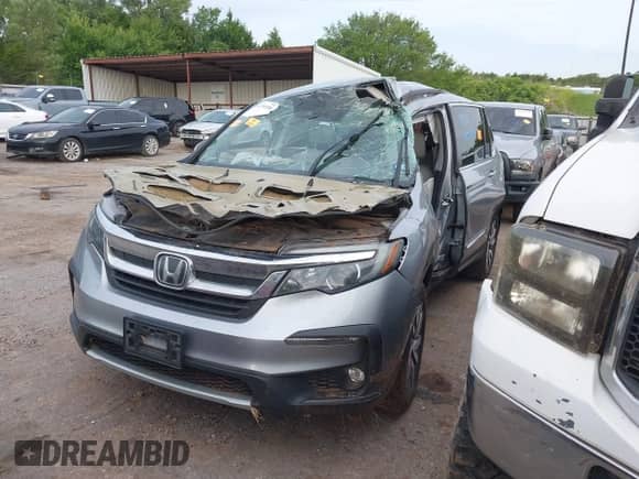 2019 Honda Pilot EX-L with VIN 5FNYF5H50KB025287, listed as a IAAI auction lot 42741655 with Not provided miles and . Bid and sale history available at DreamBid. Image 2.