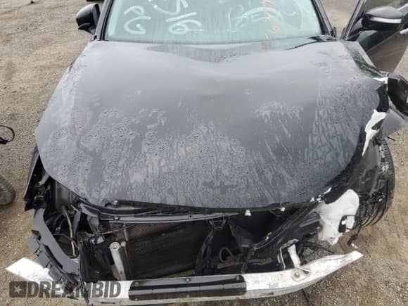 2010 Hyundai Genesis with VIN KMHGC4DE6AU100306, listed as a Copart auction lot 56377735 with 101,773 mi miles and Salvage title. Bid and sale history available at DreamBid. Image 11.