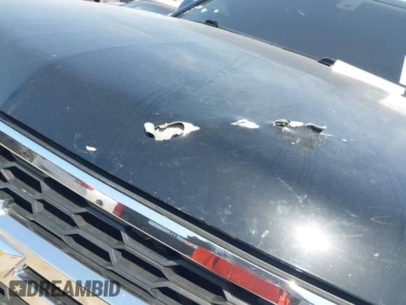 2016 Chevrolet Tahoe LS z VIN 1GNSCAKCXGR482874, wystawiony jako IAAI lot #42016639 z przebiegiem 110 744 mil mil oraz . Historia ofert i sprzedaży dostępna na DreamBid. Obrazek 6.