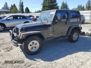 1997 Jeep Wrangler Sport with VIN 1J4FY19S0VP543158, listed as a Copart auction lot 80878565 with 301,693 mi miles and Salvage title. Bid and sale history available at DreamBid. Image 1.