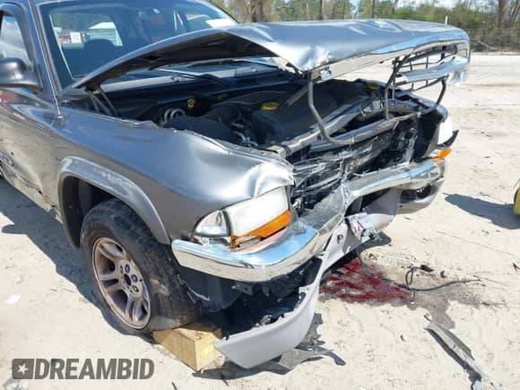 2003 Dodge Dakota SLT с VIN 1D7HL48N23S350004, выставлен на аукционе IAAI как лот 41849942 с пробегом 140 735 миль миль и . История ставок и продаж доступна на DreamBid. Изображение 6.