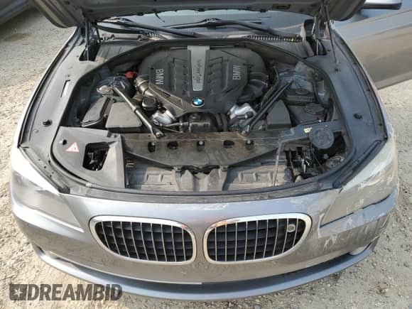 2010 BMW 7 Series 750i xDrive with VIN WBAKC6C5XAC393416, listed as a Copart auction lot 69124825 with 174,221 mi miles and Salvage title. Bid and sale history available at DreamBid. Image 11.