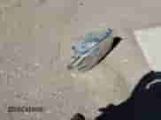 2016 Ram 1500 Lone Star с VIN 3C6RR6LT6GG321849, выставлен на аукционе Copart как лот 63110965 с пробегом 162 168 миль миль и Списание • Salvage title. История ставок и продаж доступна на DreamBid. Изображение 12.