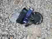 2025 Chevrolet Corvette 3LZ z VIN 1G1YF2D31S5600459, wystawiony jako Copart lot #60920535 z przebiegiem 1 320 mil mil oraz Szkoda całkowita • Salvage title. Historia ofert i sprzedaży dostępna na DreamBid. Obrazek 12.