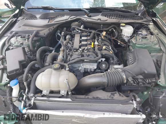 2023 Ford Mustang EcoBoost с VIN 1FA6P8THXP5109770, выставлен на аукционе IAAI как лот 43351700 с пробегом 30 625 миль миль и . История ставок и продаж доступна на DreamBid. Изображение 10.