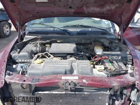 2001 Dodge Durango with VIN 1B4HS28N21F634723, listed as a IAAI auction lot 42731203 with 182,867 mi miles and . Bid and sale history available at DreamBid. Image 10.