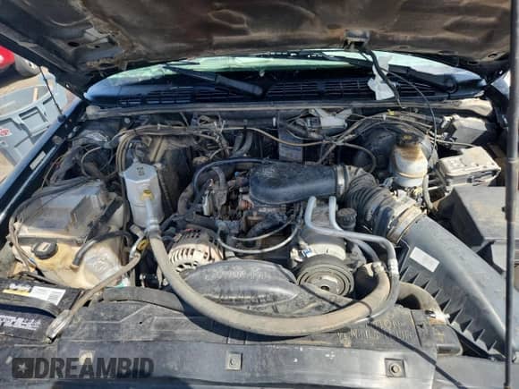 2003 Chevrolet S-10 LS with VIN 1GCCT19X238225553, listed as a Copart auction lot 81330915 with 113,539 mi miles and Salvage title. Bid and sale history available at DreamBid. Image 11.