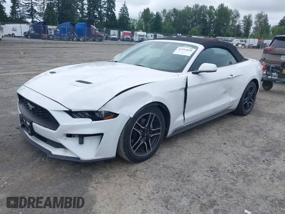 2023 Ford Mustang EcoBoost with VIN 1FATP8UH9P5110555, listed as a IAAI auction lot 42593858 with 41,948 mi miles and . Bid and sale history available at DreamBid. Image 17.