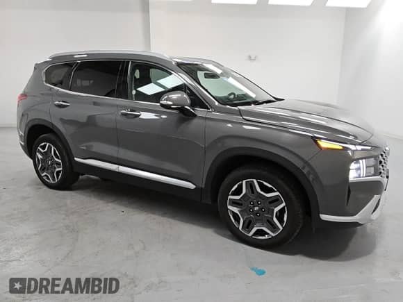 2023 Hyundai Santa Fe SEL Premium with VIN 5NMS3DA12PH013115, listed as a Copart auction lot 81267295 with 43,442 mi miles and Salvage title. Bid and sale history available at DreamBid. Image 4.