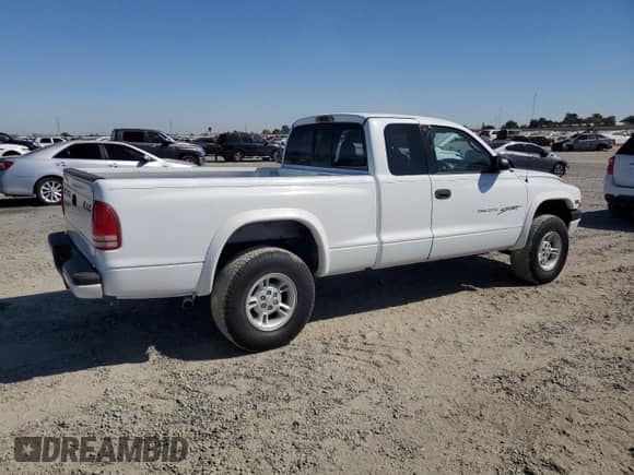 2000 Dodge Dakota Sport with VIN 1B7GG22N0YS509052, listed as a Copart auction lot 81692585 with 228,239 mi miles and Salvage title. Bid and sale history available at DreamBid. Image 3.